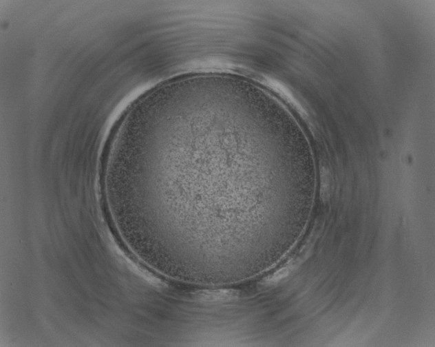 X0000077401331200611032017