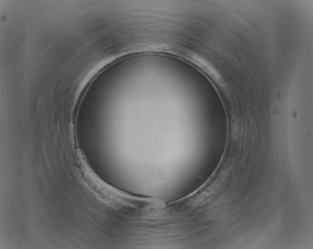 X0000077401332200611032017