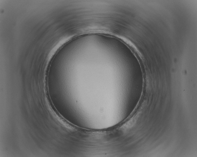 X0000077401333200611032017