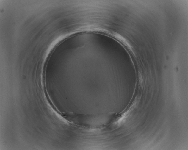 X0000077401334200611032017