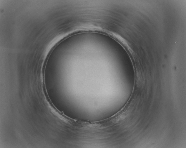 X0000077401335200611032017