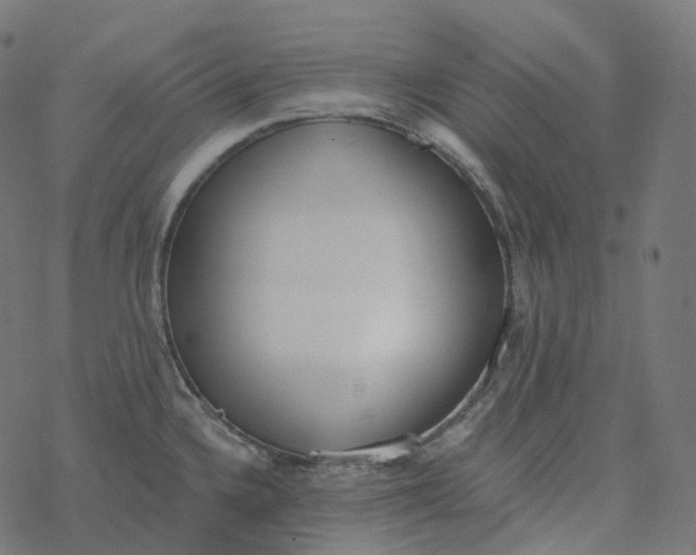 X0000077401336200611032017