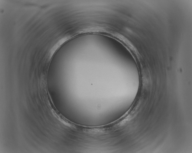 X0000077401337200611032017