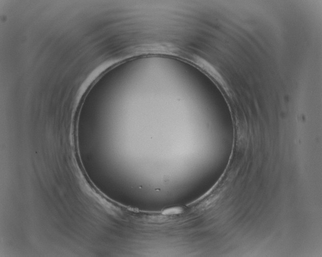 X0000077401339200611032017