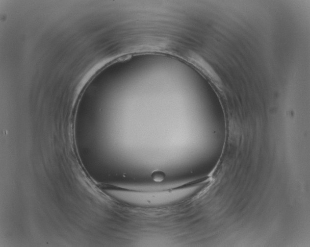 X0000077401340200611032017