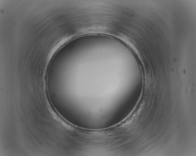 X0000077401341200611032017