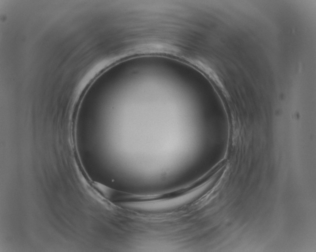 X0000077401342200611032017