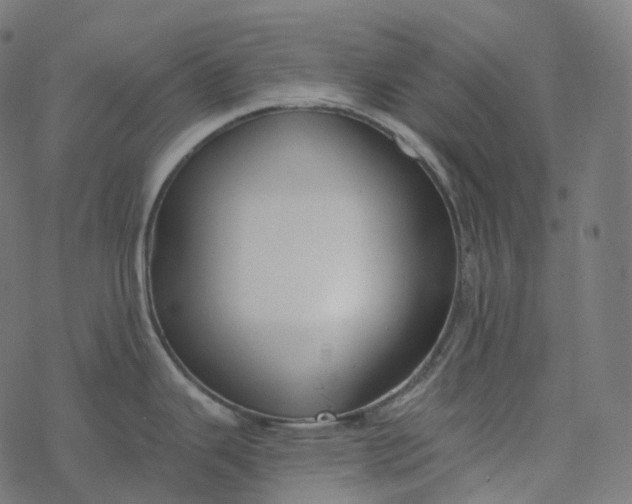 X0000077401343200611032017