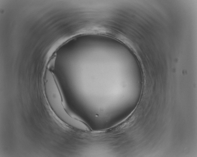 X0000077401344200611032017