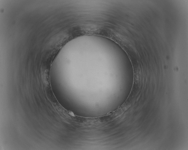 X0000077401346200611032016