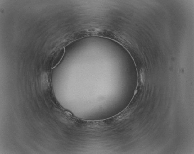 X0000077401347200611032016