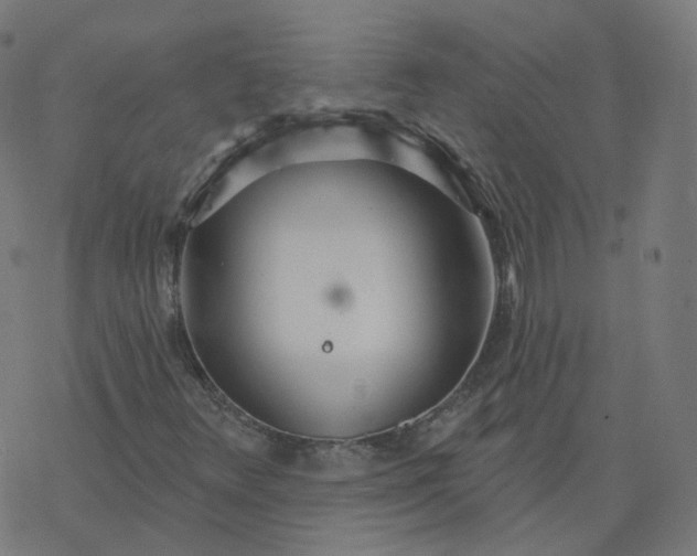 X0000077401348200611032016