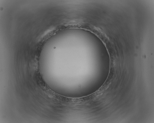 X0000077401350200611032016