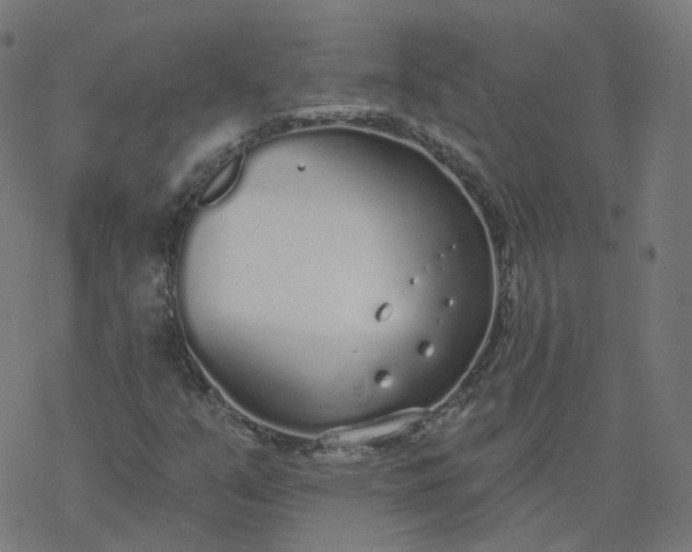 X0000077401351200611032016