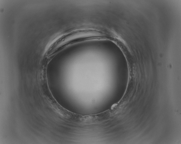 X0000077401352200611032016