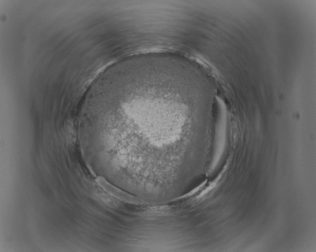 X0000077401353200611032016