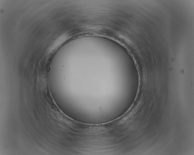 X0000077401354200611032016