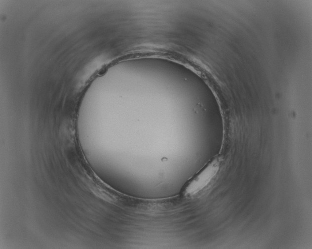 X0000077401355200611032016