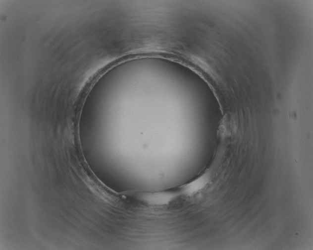 X0000077401356200611032016