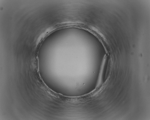 X0000077401357200611032016