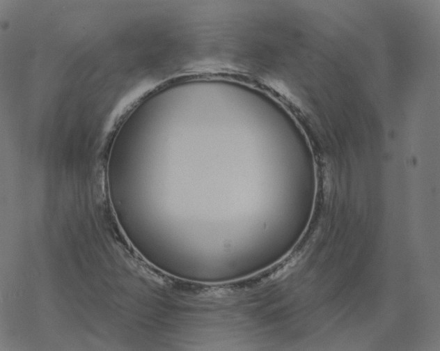 X0000077401358200611032016