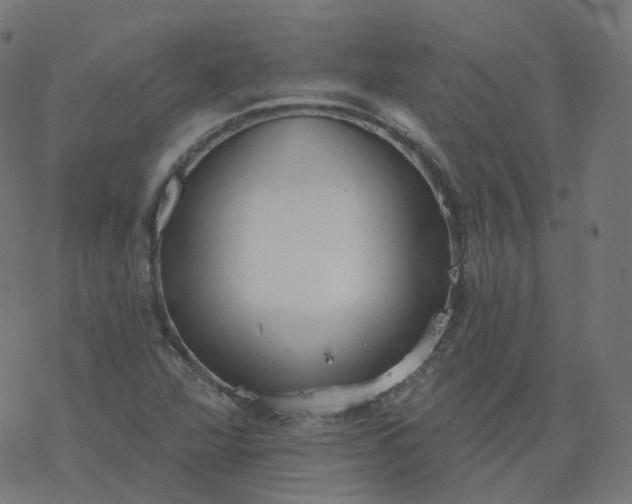 X0000077401360200611032016