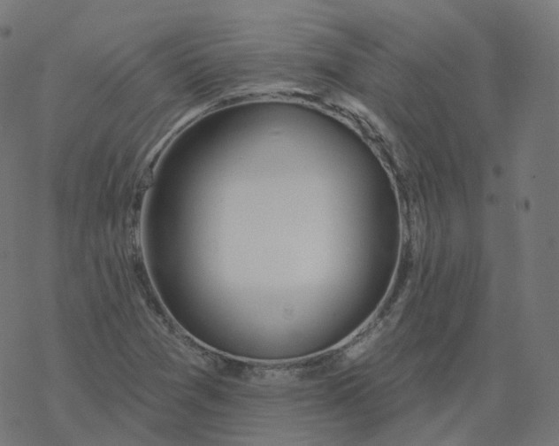 X0000077401361200611032016