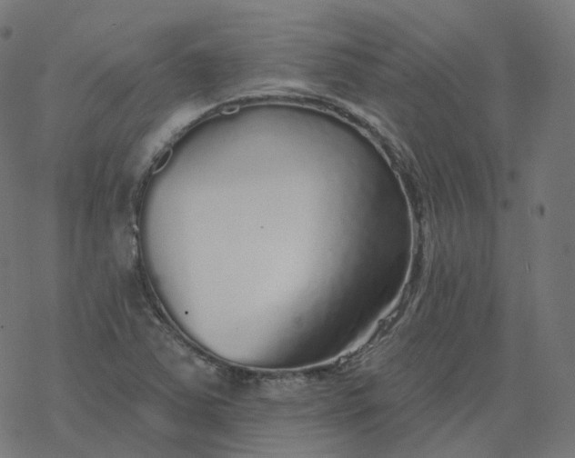 X0000077401363200611032016