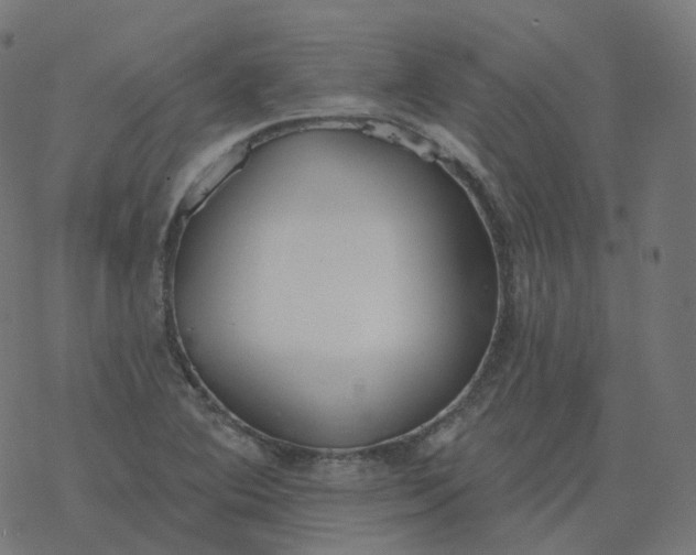 X0000077401364200611032016