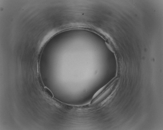 X0000077401365200611032016