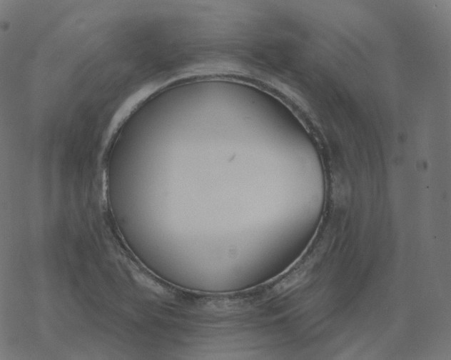 X0000077401366200611032016