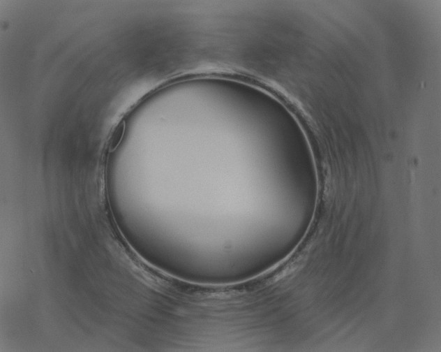 X0000077401367200611032016