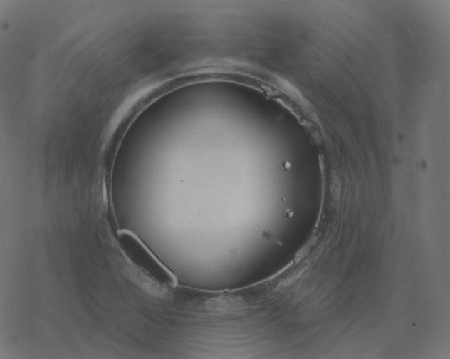 X0000077401368200611032016