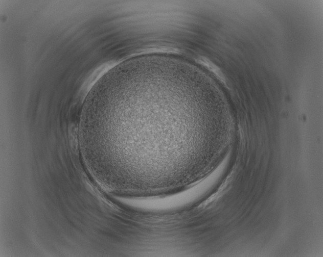 X0000077401369200611032016