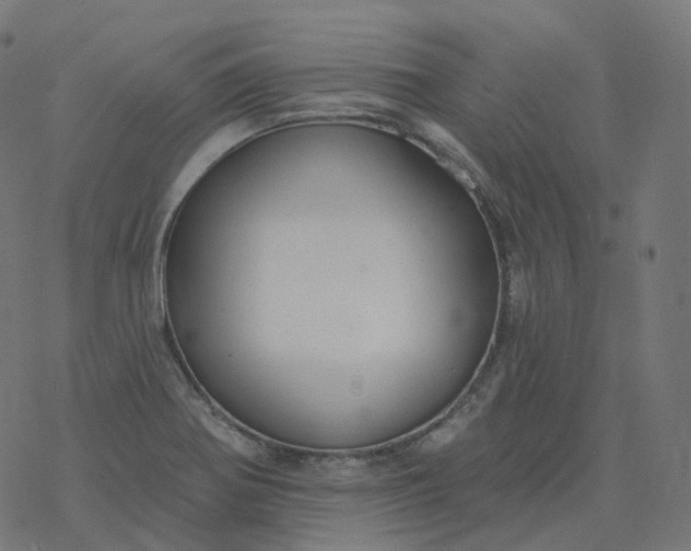 X0000077401370200611032016