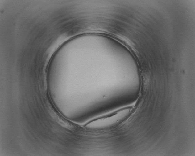 X0000077401371200611032016