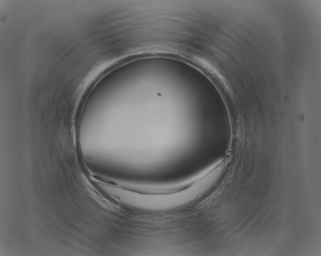 X0000077401372200611032016