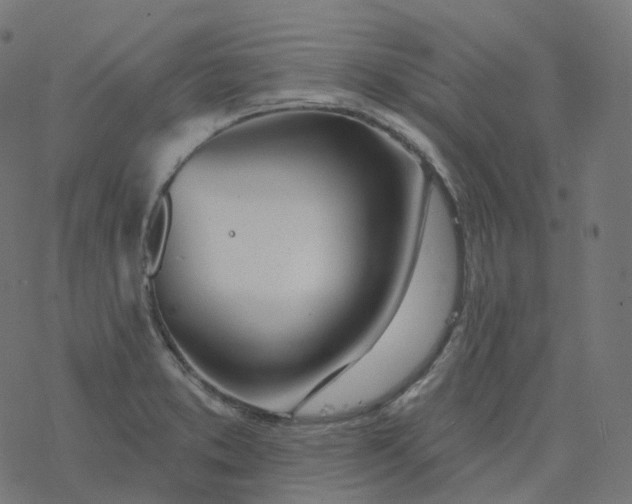 X0000077401373200611032016