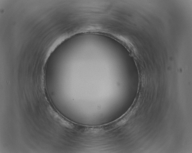 X0000077401374200611032016