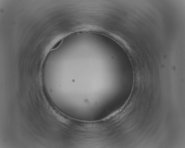 X0000077401375200611032016