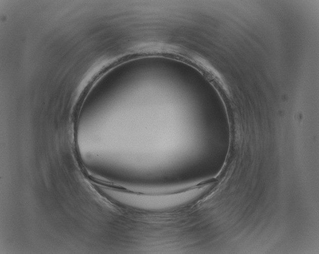 X0000077401376200611032016