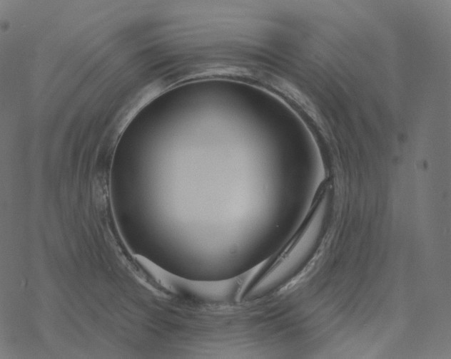 X0000077401377200611032016