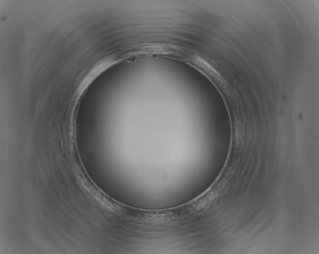 X0000077401378200611032016