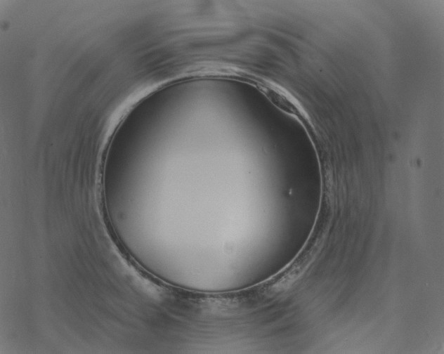 X0000077401379200611032016