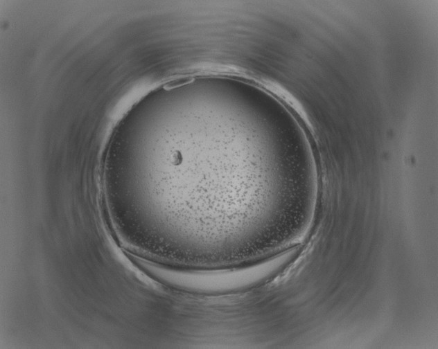 X0000077401381200611032016