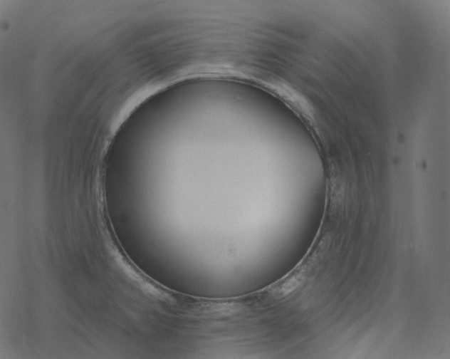 X0000077401382200611032016