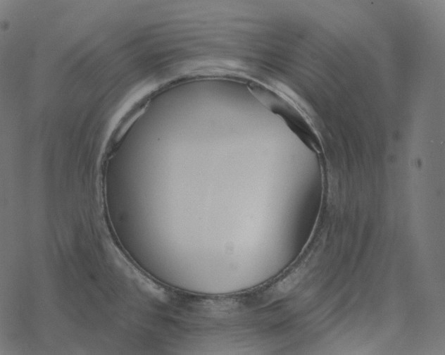 X0000077401384200611032016