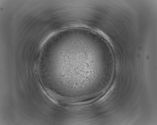 X0000077401385200611032016