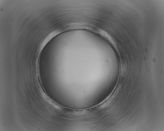 X0000077401386200611032015