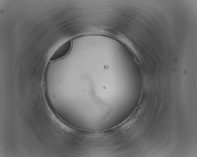 X0000077401387200611032015